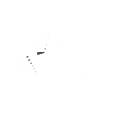 David Viera LLC logo